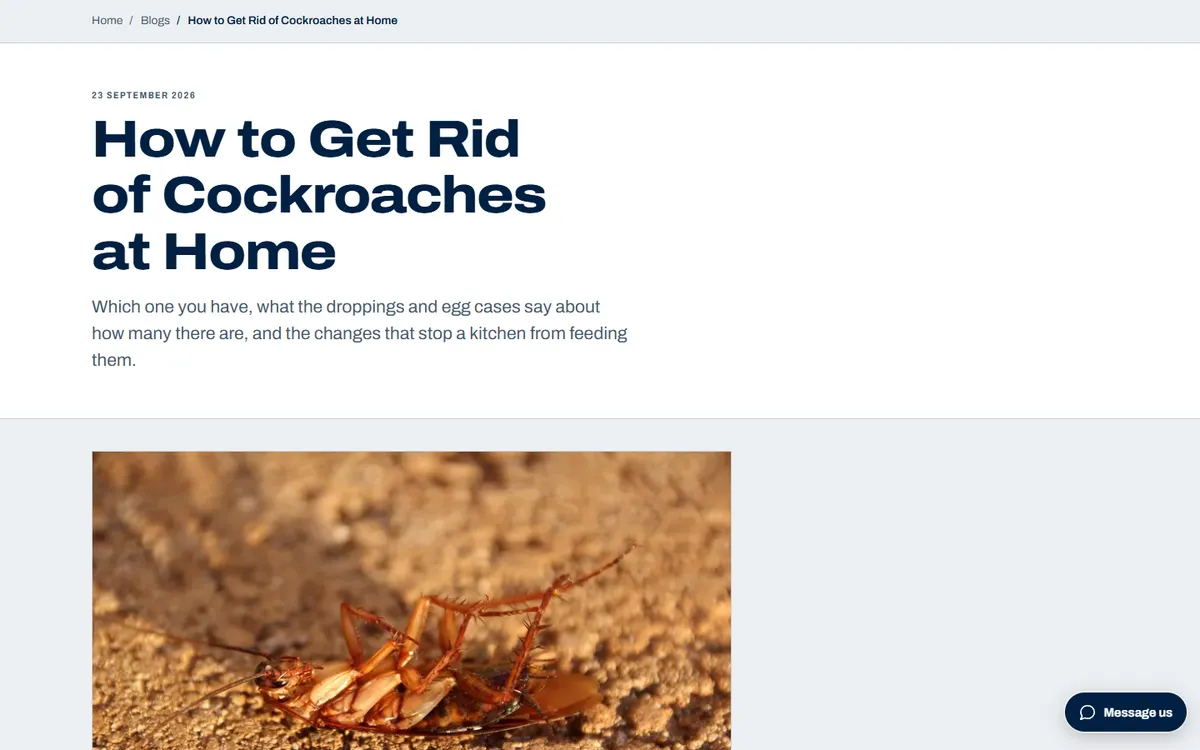 A guide page on the pest control site: the headline How to Get Rid of Cockroaches at Home over a short introduction, and a large photograph of a cockroach on a sandy floor